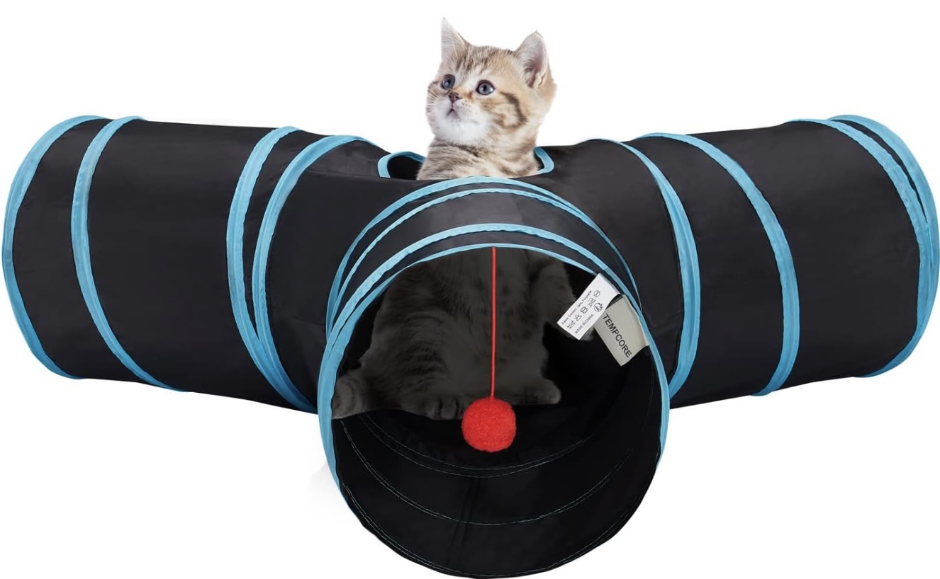 cat tunnel